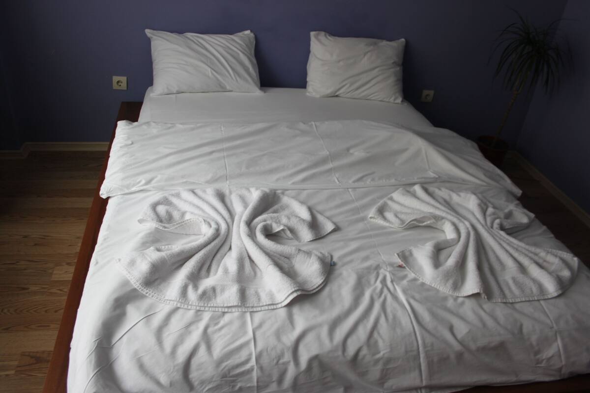 A neatly made bed with white linens and pillows, a wooden floor, and a potted plant in the corner.