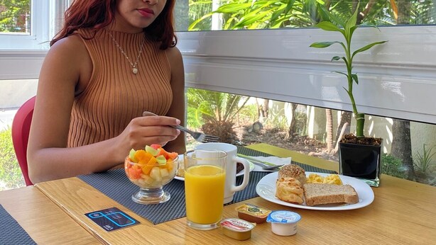 A person sitting at a table with a meal, a window with a view of greenery, and a small potted plant on the table. - Transamerica Fit Campinas (Campinas)