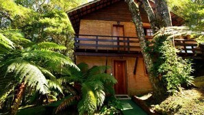 Un chalet en bois rustique, entouré d’une végétation luxuriante.