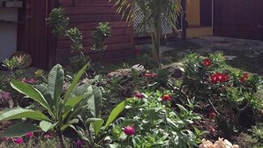 A wooden house with a balcony, surrounded by a garden with various plants and flowers. - Bogles Round House (Hillsborough)