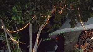 A garden pathway with string lights and a decorative spider web. - Bogles Round House (Hillsborough)