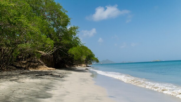 A beach with clear blue water, sandy shore, and dense green foliage. - Bogles Round House (Hillsborough)