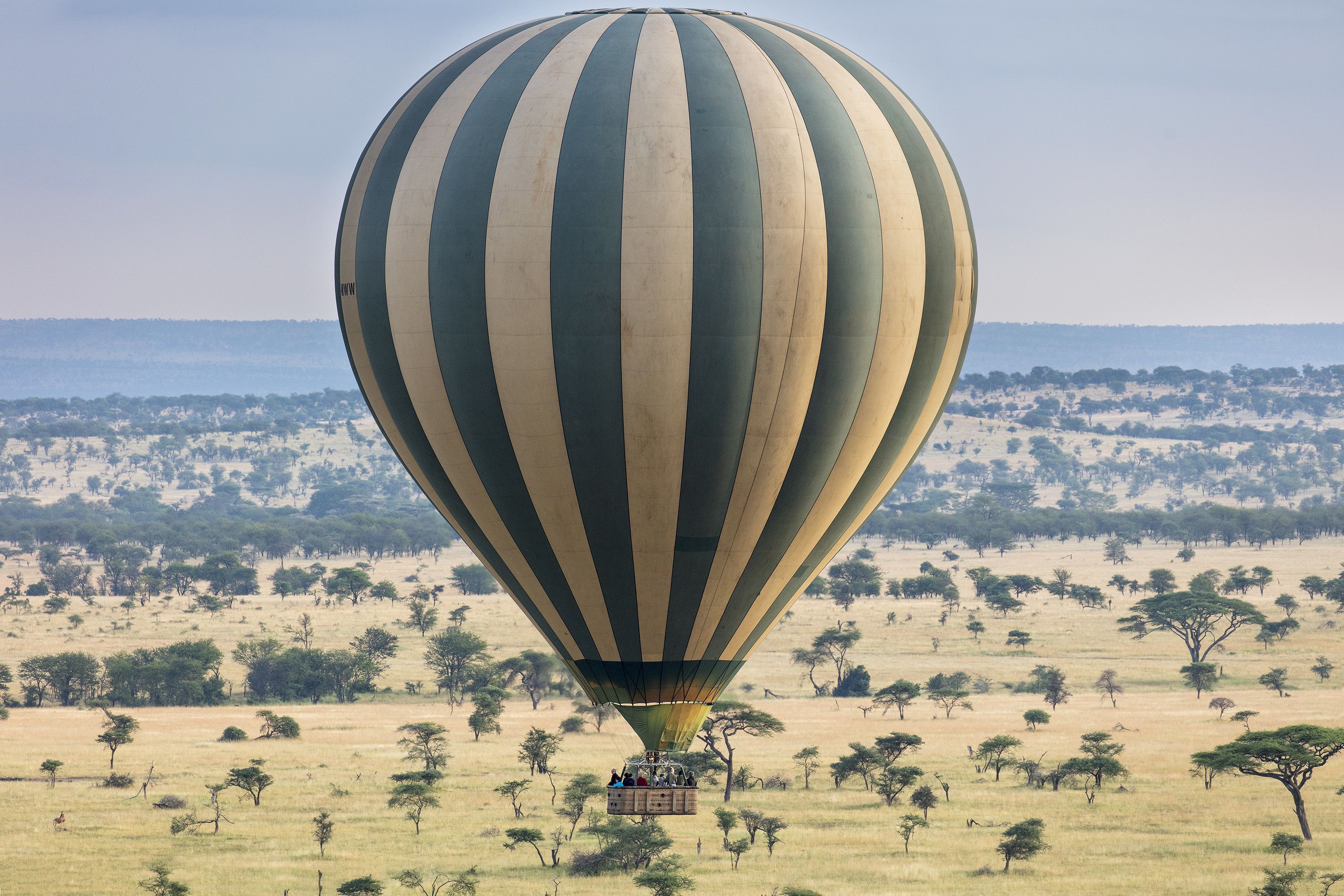 Eine Heißluftballonfahrt mit Passagieren über eine Savannenlandschaft mit vereinzelten Bäumen.