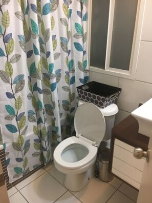 Standard Apartment, 2 Bedrooms, 2 Bathrooms | Bathroom | Shower, free toiletries, hair dryer, towels