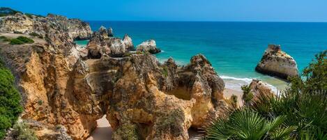 Beach nearby, scuba diving, windsurfing