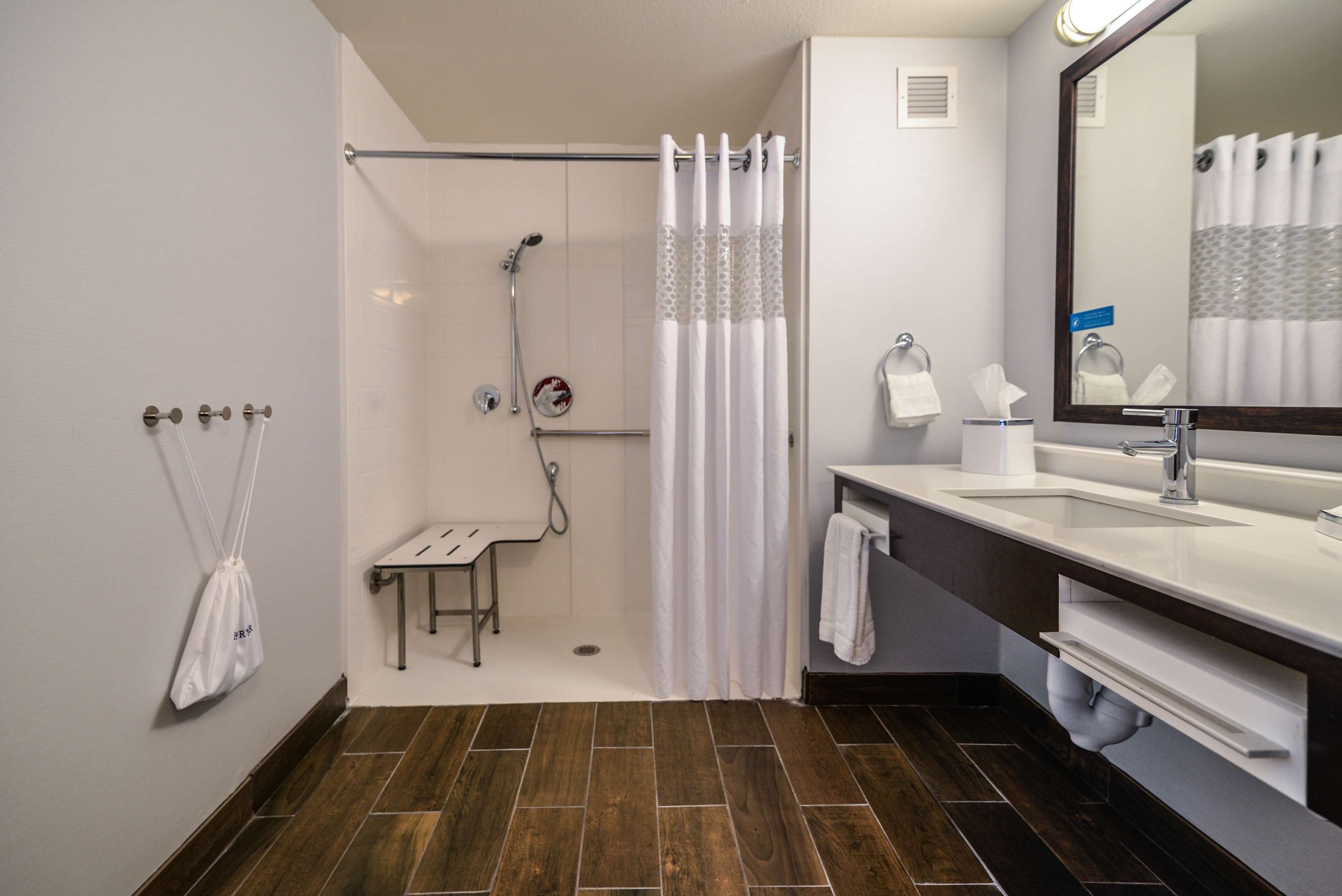 room, 1 king bed, accessible (roll-in shower) | bathroom shower