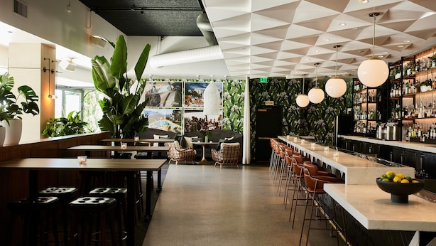 A modern bar area with a geometric ceiling, bar stools, and a variety of plants. - Kimpton Sawyer Hotel by IHG (Sacramento)