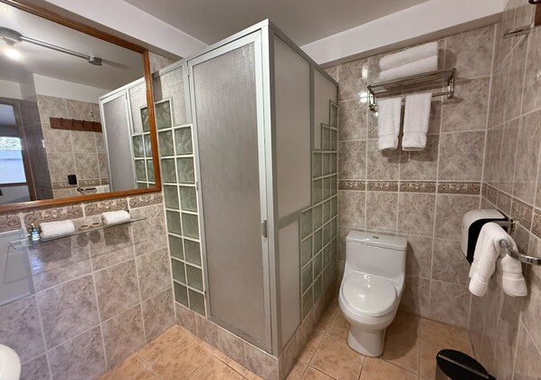 Une salle de bain avec une douche à parois de verre, des toilettes et un miroir.