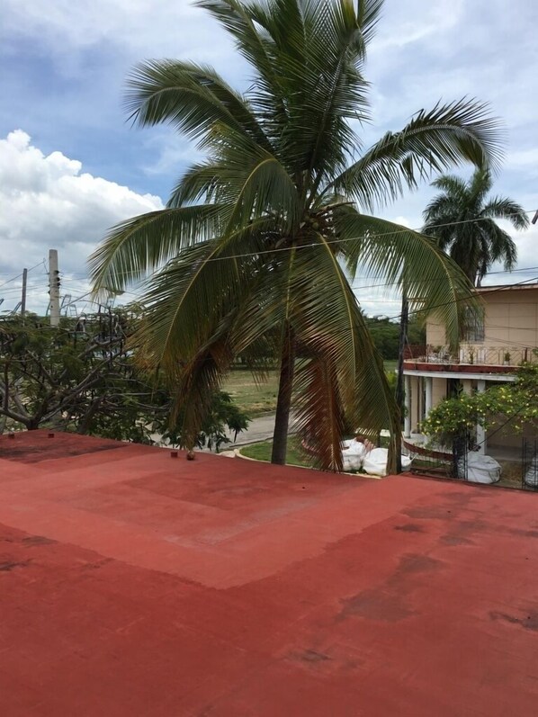 Terrain de l’hébergement 