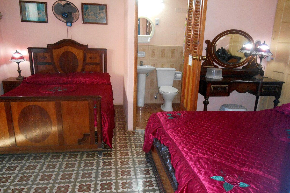 Un dormitorio con dos camas de madera, un baño con inodoro y lavamanos, y un espejo en una cómoda.