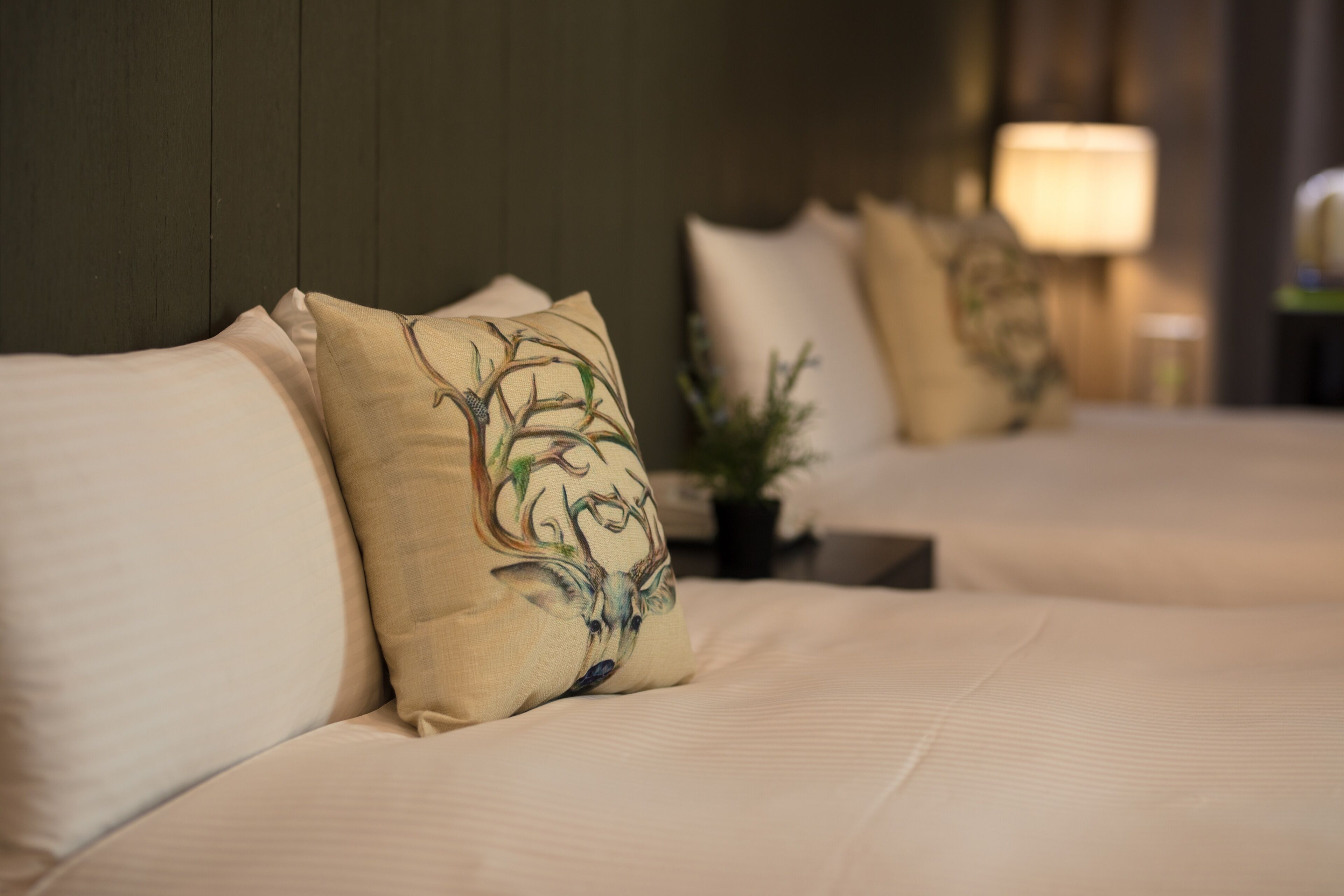 A hotel room with a bed featuring decorative pillows and a bedside lamp.