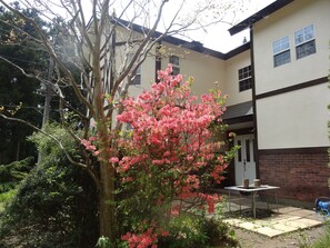 Property grounds - Gasthof Arutany (Nasu)