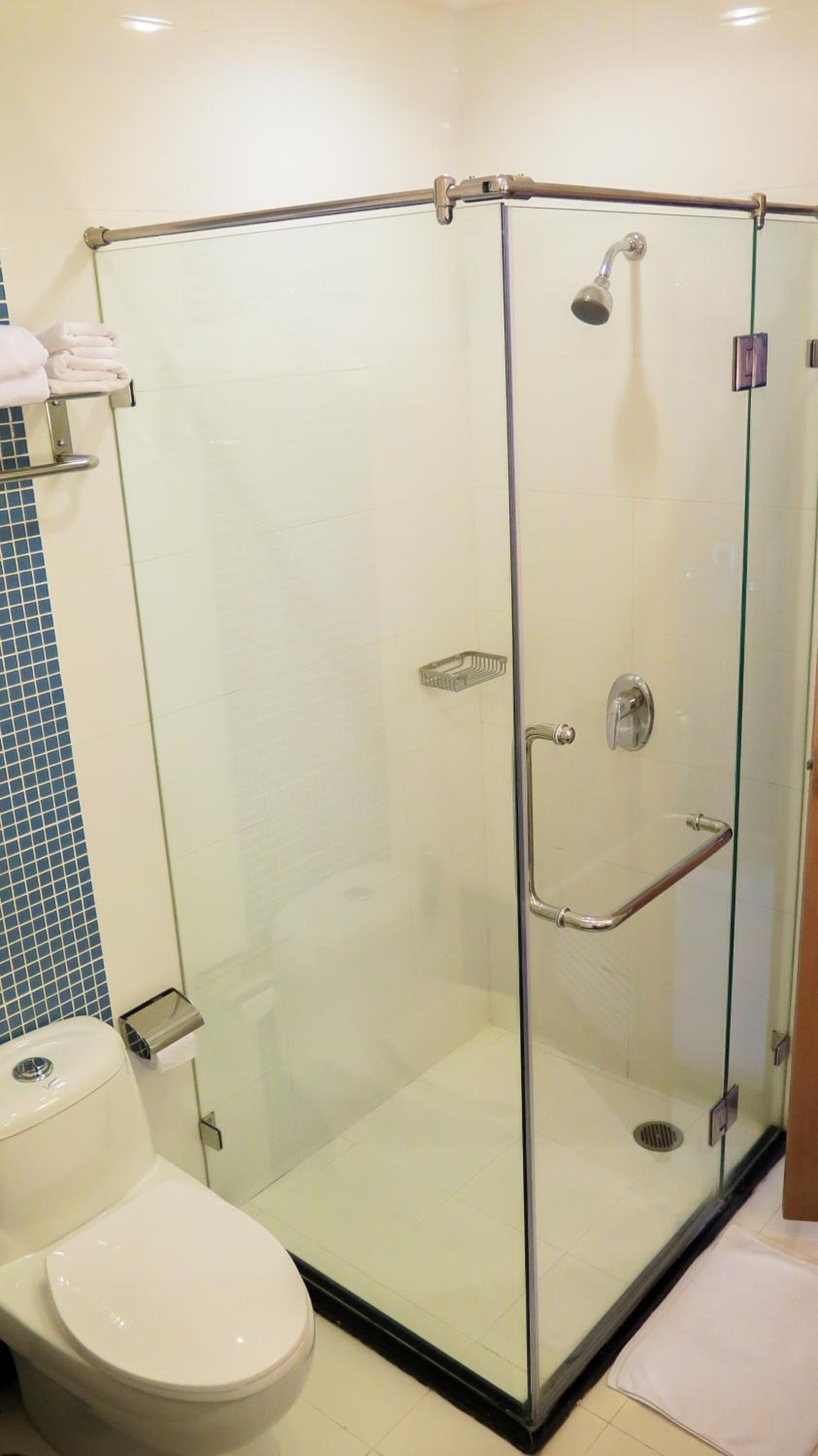 A glass-enclosed shower stall with a handheld showerhead, a glass door, and a metal grab bar.