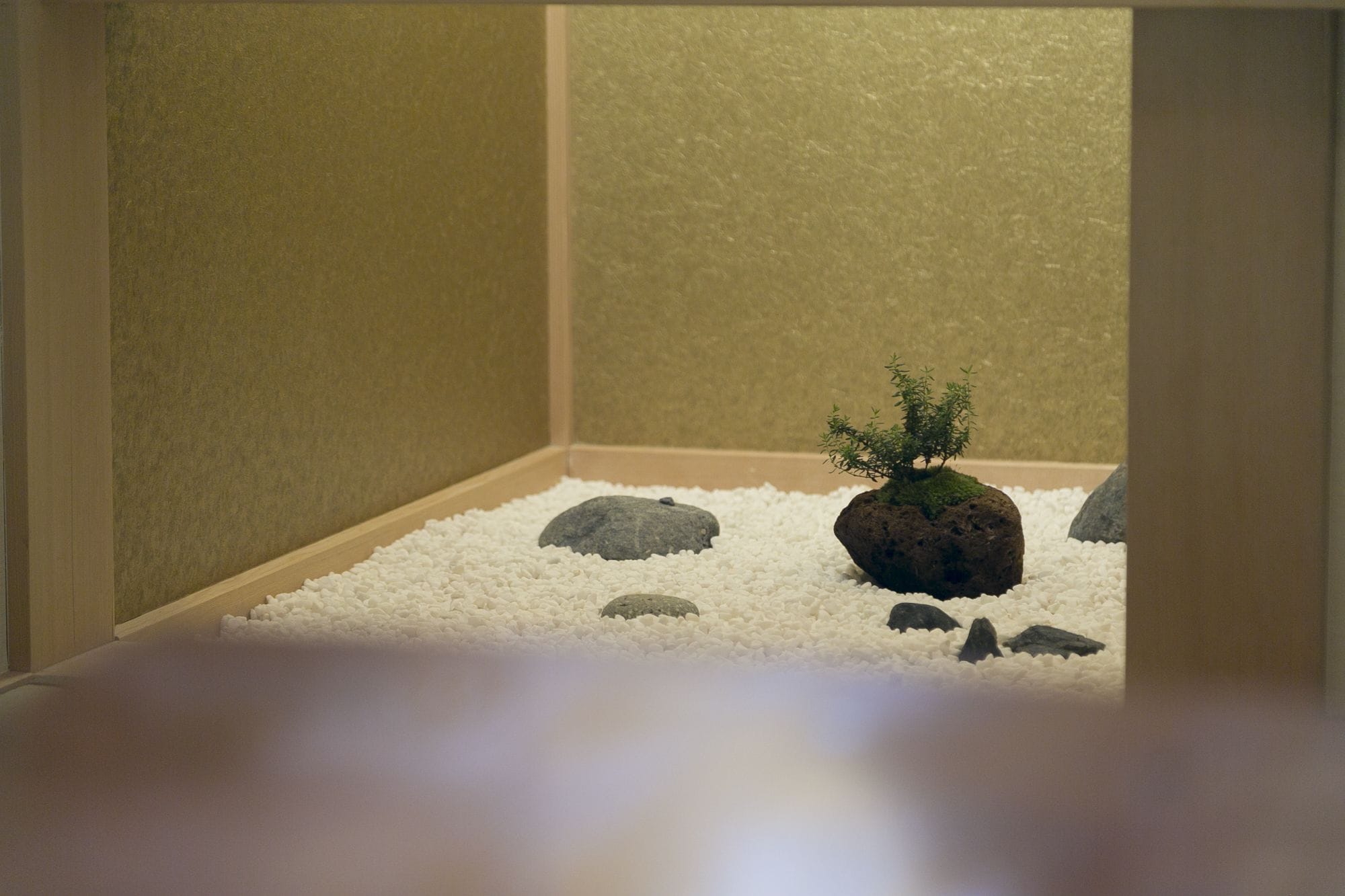 Una esquina de una habitación con una pequeña planta en maceta sobre una superficie de grava blanca, rodeada de rocas.