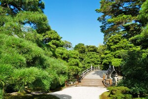 Un puente de madera en un jardín exuberante, lleno de follaje verde intenso.