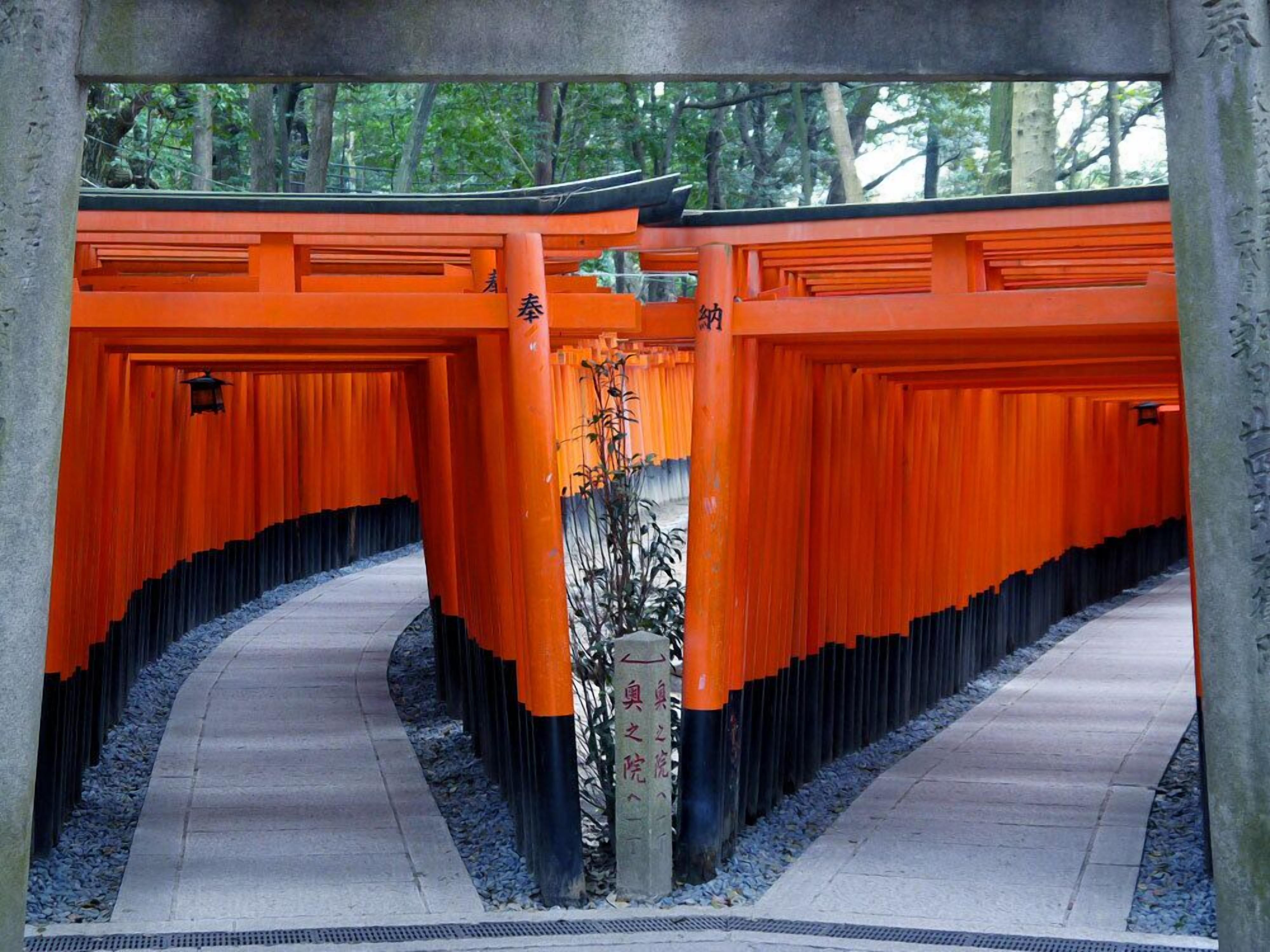 A pathway flanked by orange torii gates leading to a traditional Japanese shrine.