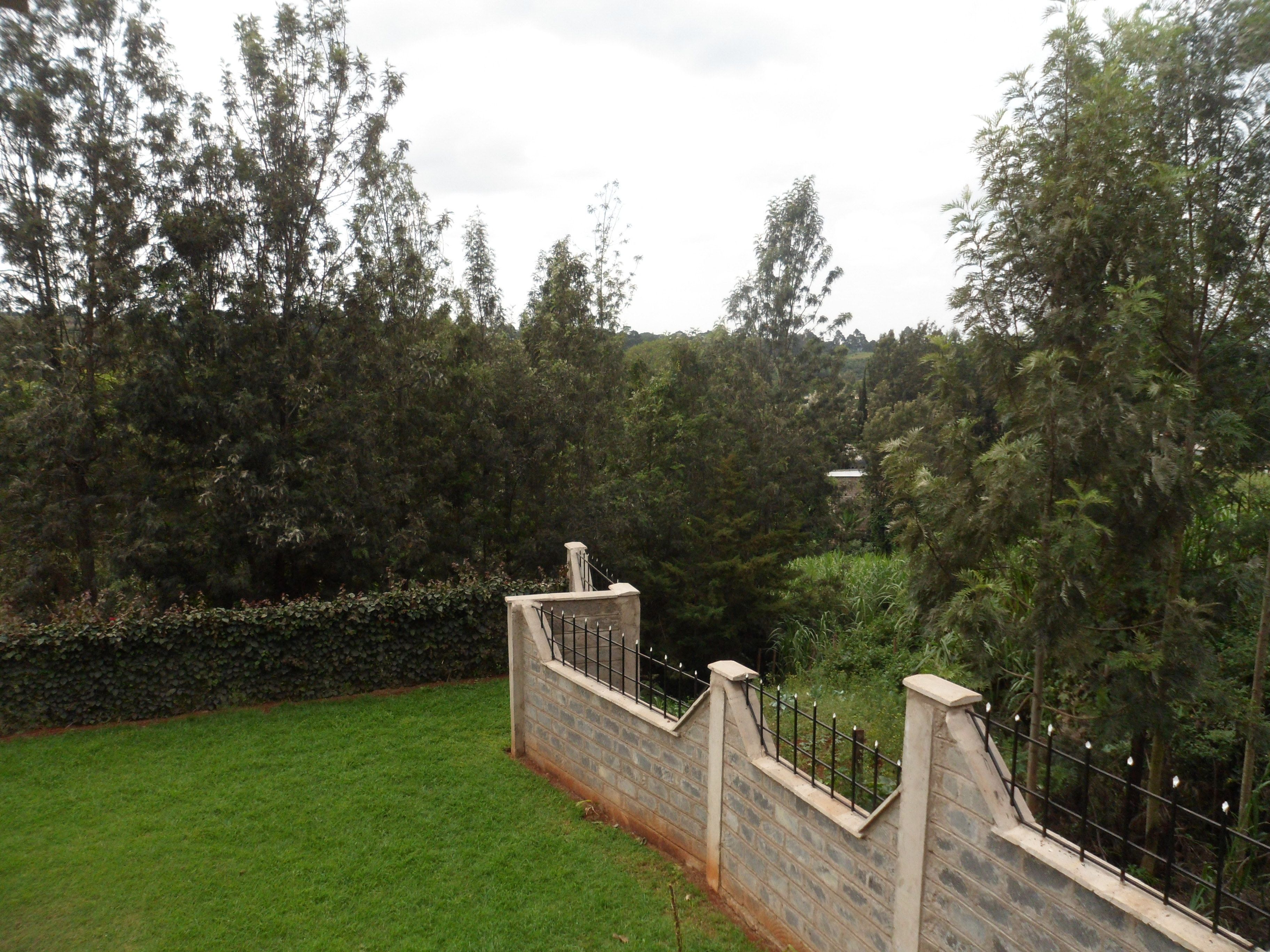 A stone wall with a metal fence, a grassy area, and dense trees in the background.