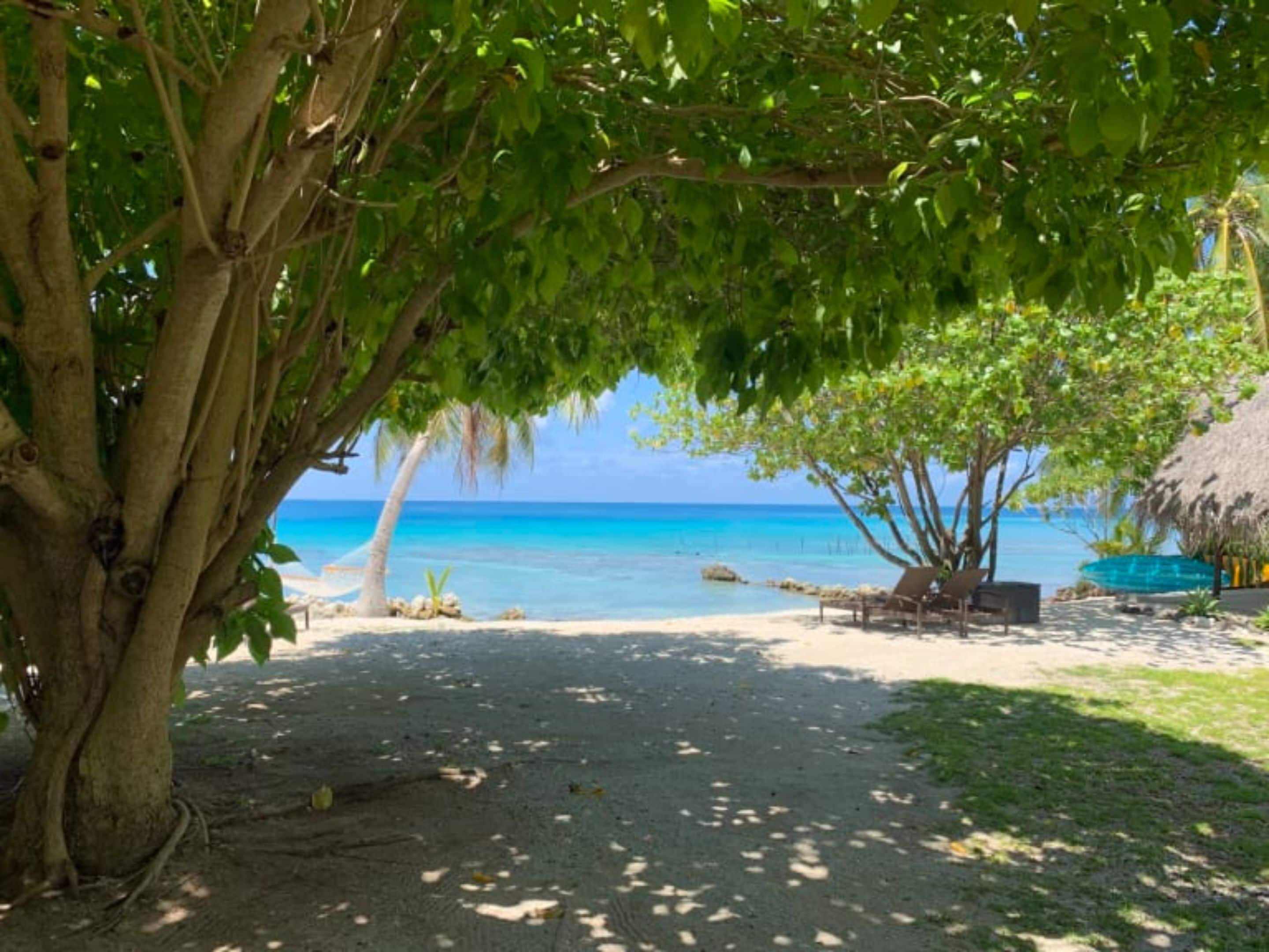 A beach with a thatched-roof hut, a tree-lined pathway, and a clear view of the ocean.