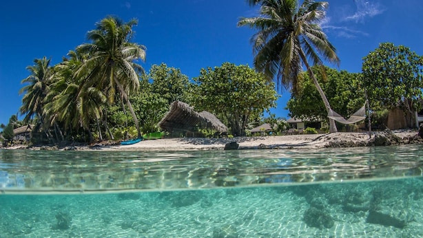 Una playa tropical con agua turquesa cristalina, palmeras y chozas de techo de paja.