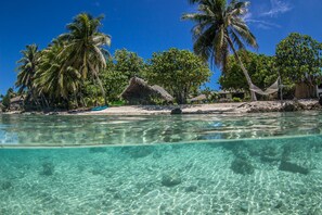 Front of property - Le Coconut Lodge (Rangiroa)