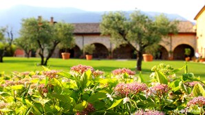Un patio con plantas florecientes, un edificio con arcos y una montaña al fondo.
