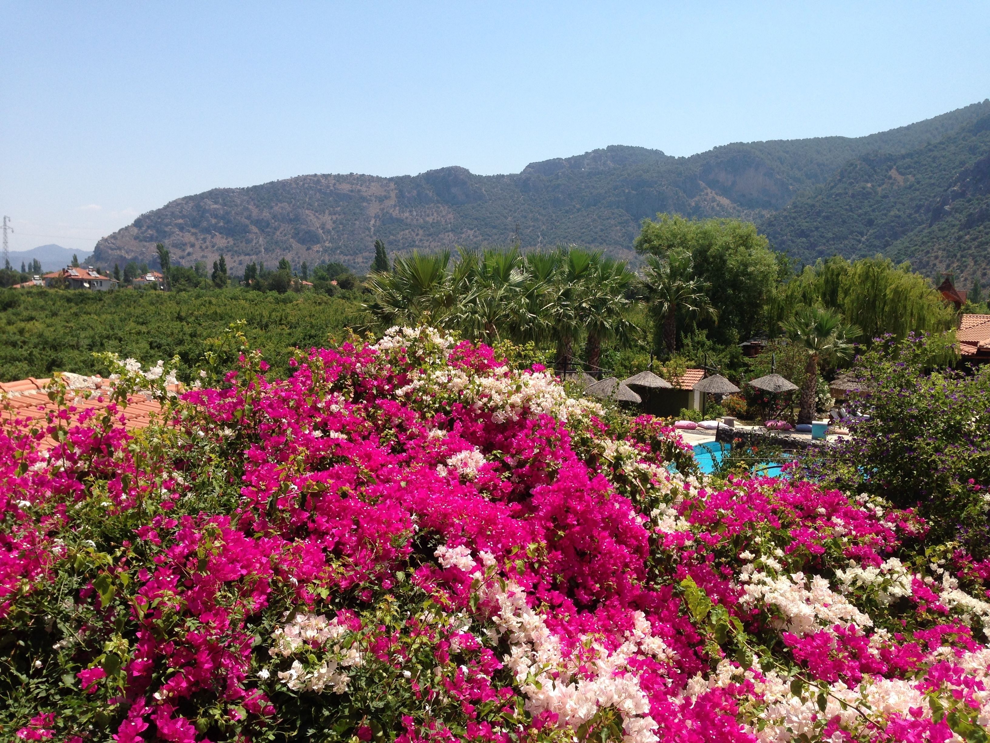 family room | view from room