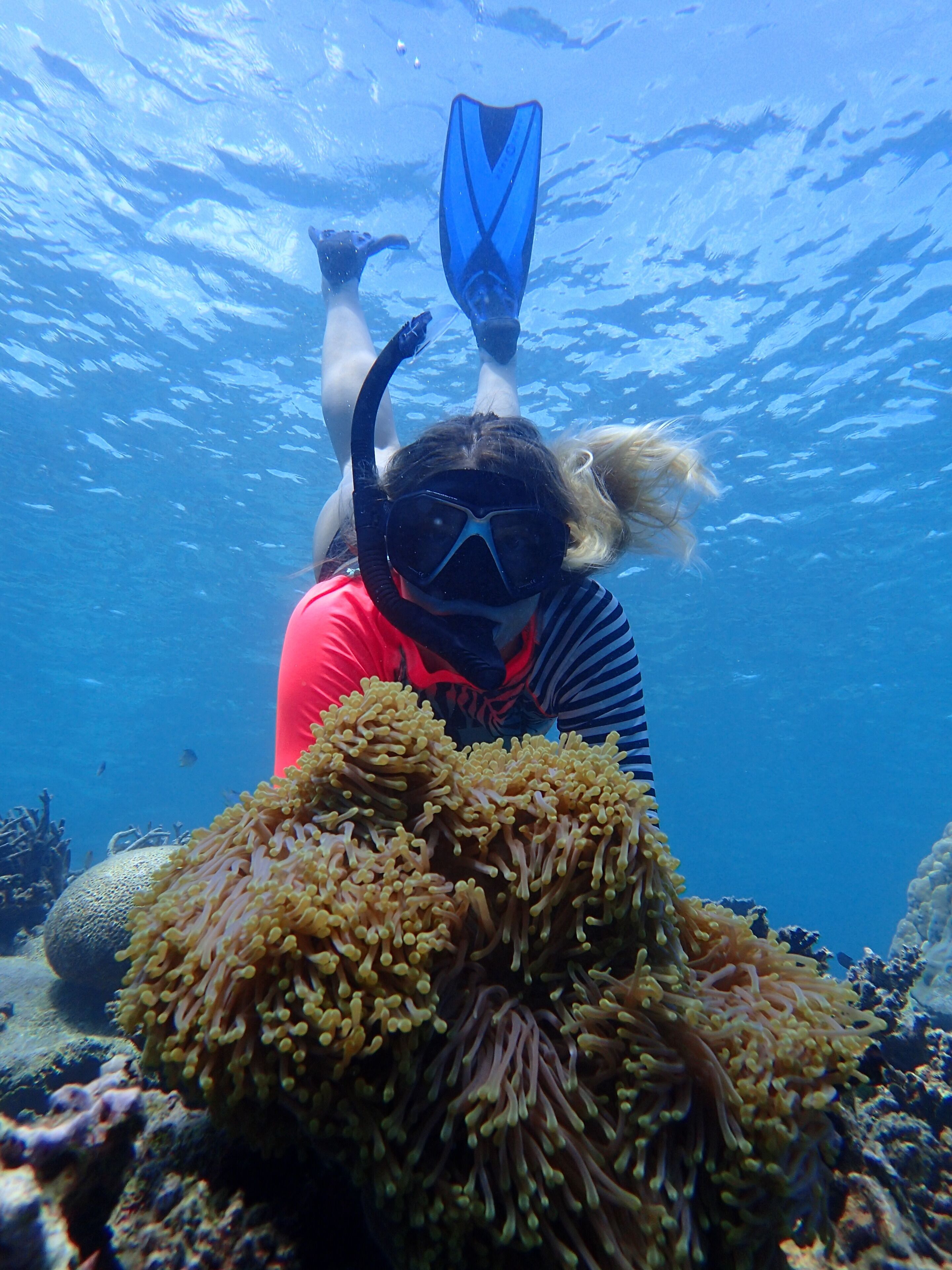 Una persona haciendo snorkel bajo el agua, usando un tubo de snorkel y aletas.
