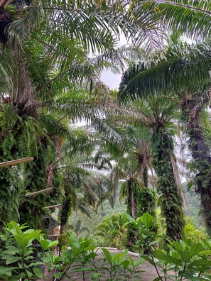 Estacionamiento gratis