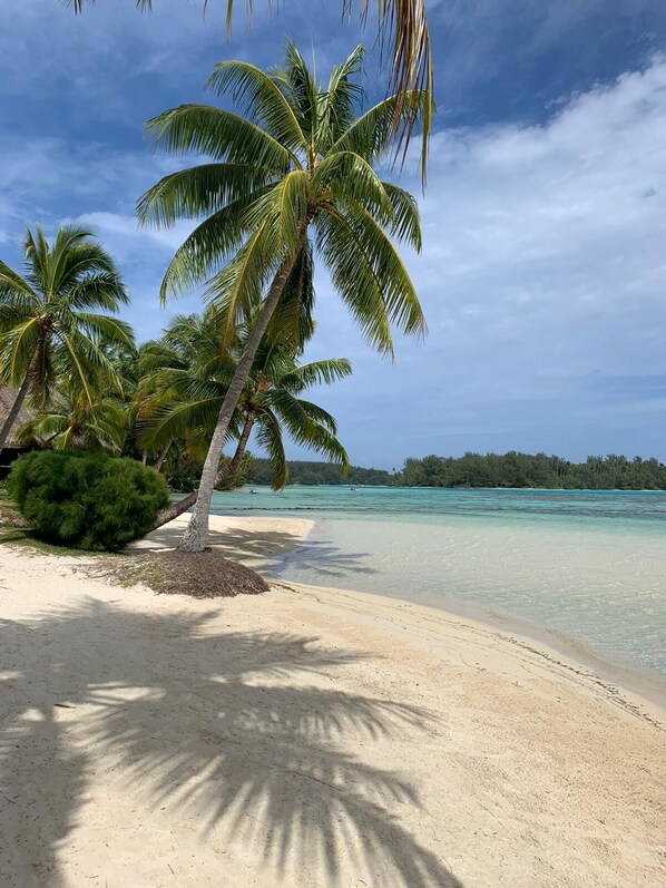 Beach nearby, white sand, beach shuttle, sun loungers