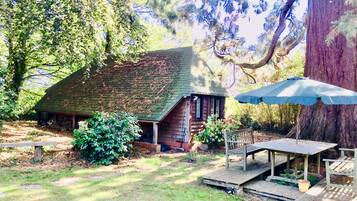 Studio | Hypo-allergenic bedding, individually decorated, individually furnished