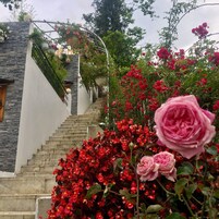 Coffee/tea maker, electric kettle