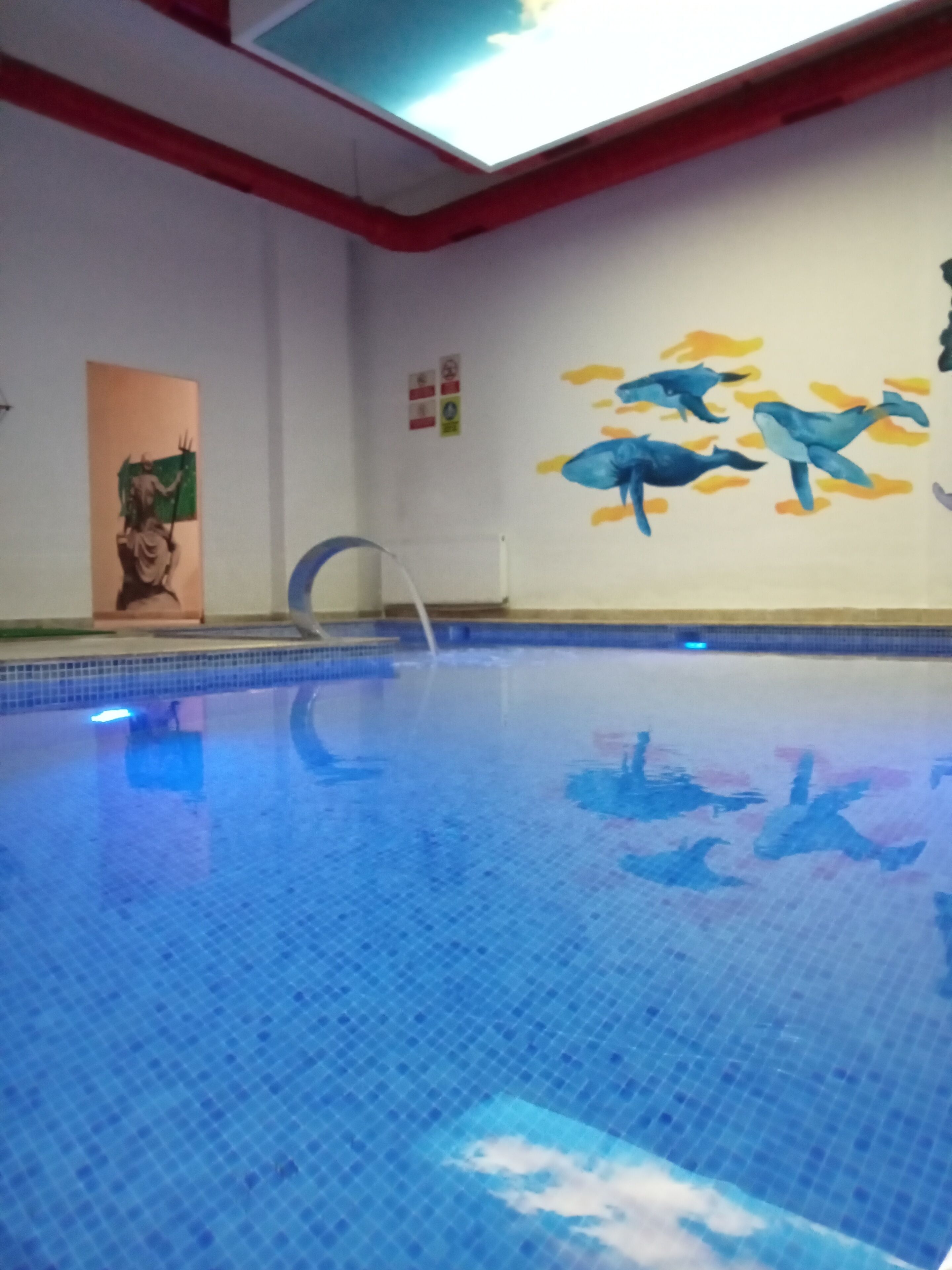 indoor pool, seasonal outdoor pool