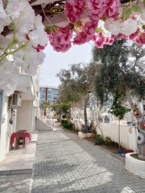 Fachada de la propiedad