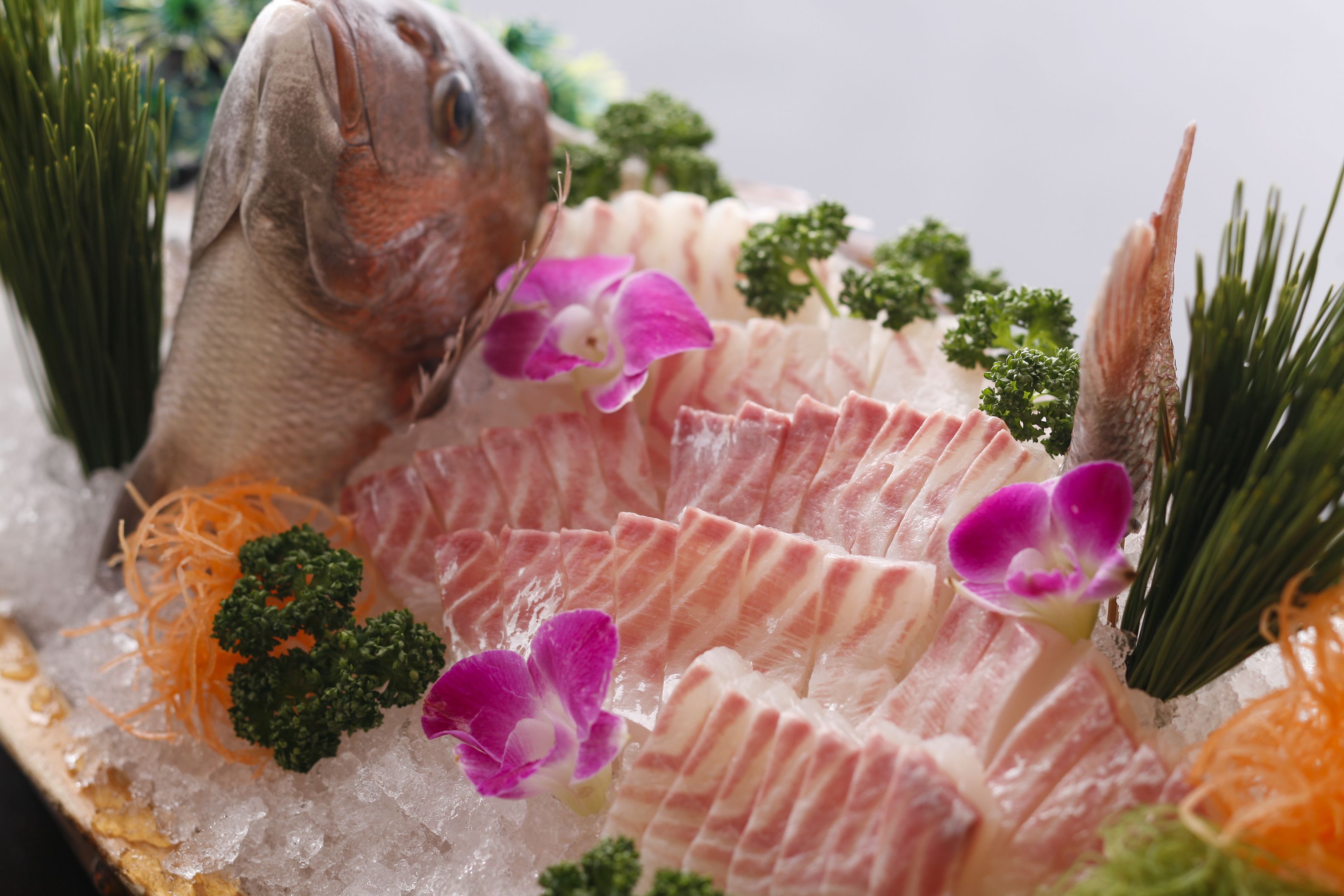 Un plateau de fruits de mer comprenant différents types de poissons et diverses garnitures, le tout servi sur de la glace.