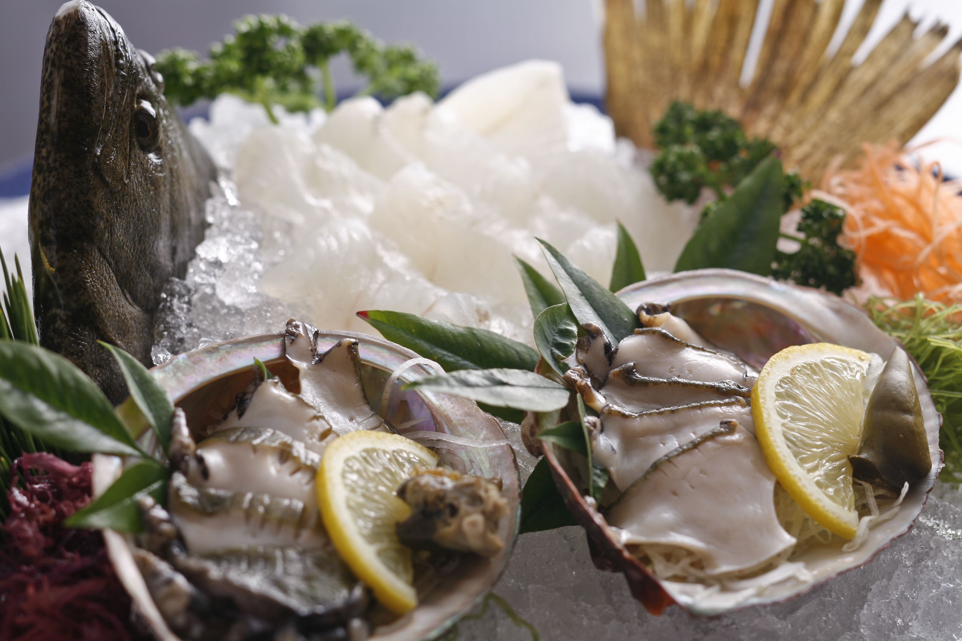 A seafood platter with oysters, lemon slices, and various garnishes on ice.