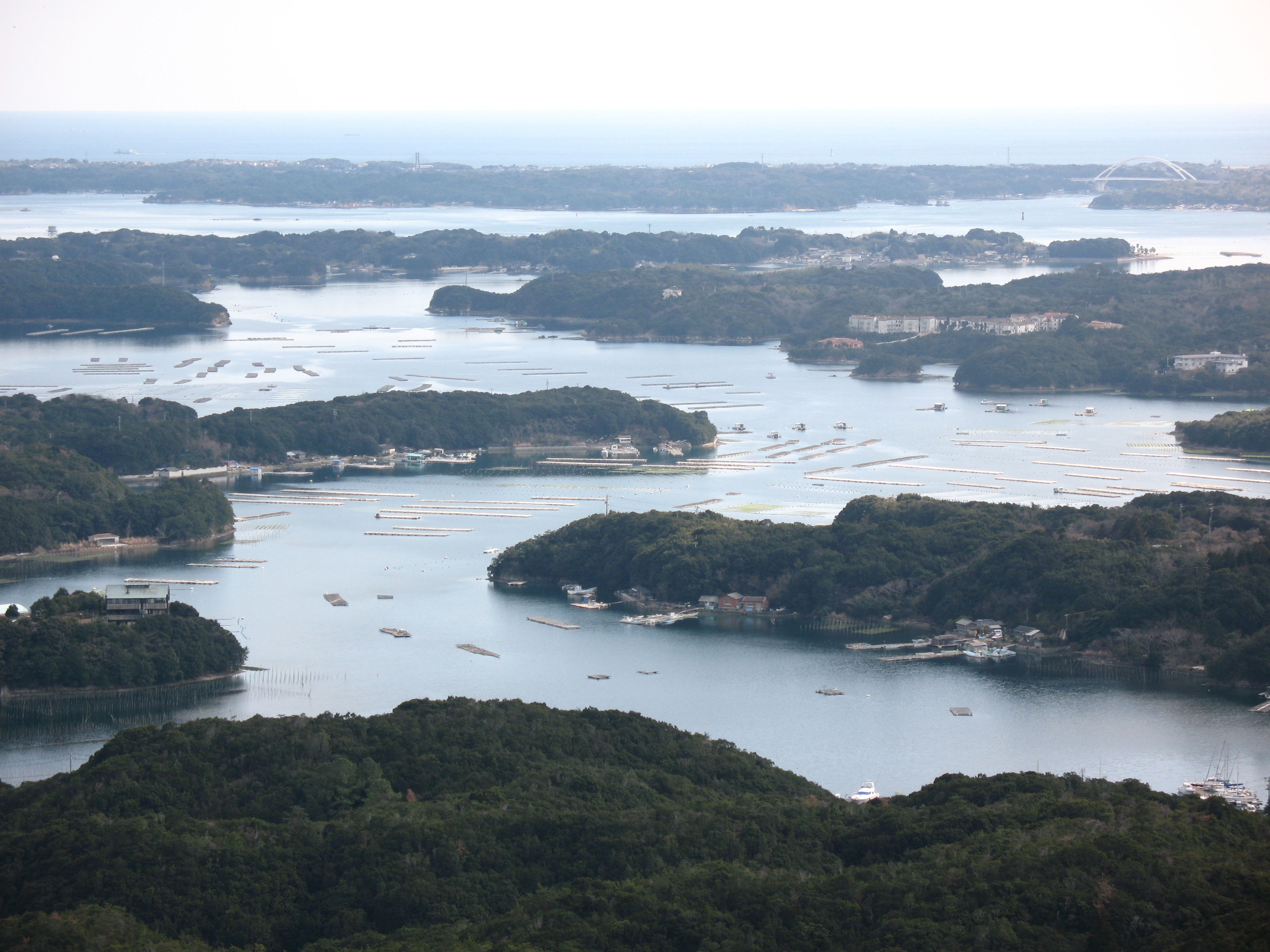Une zone côtière dotée de nombreux quais et abritant de nombreux bateaux, entourée d’une végétation luxuriante et de collines.