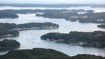 Une zone côtière dotée de nombreux quais et abritant de nombreux bateaux, entourée d’une végétation luxuriante et de collines.