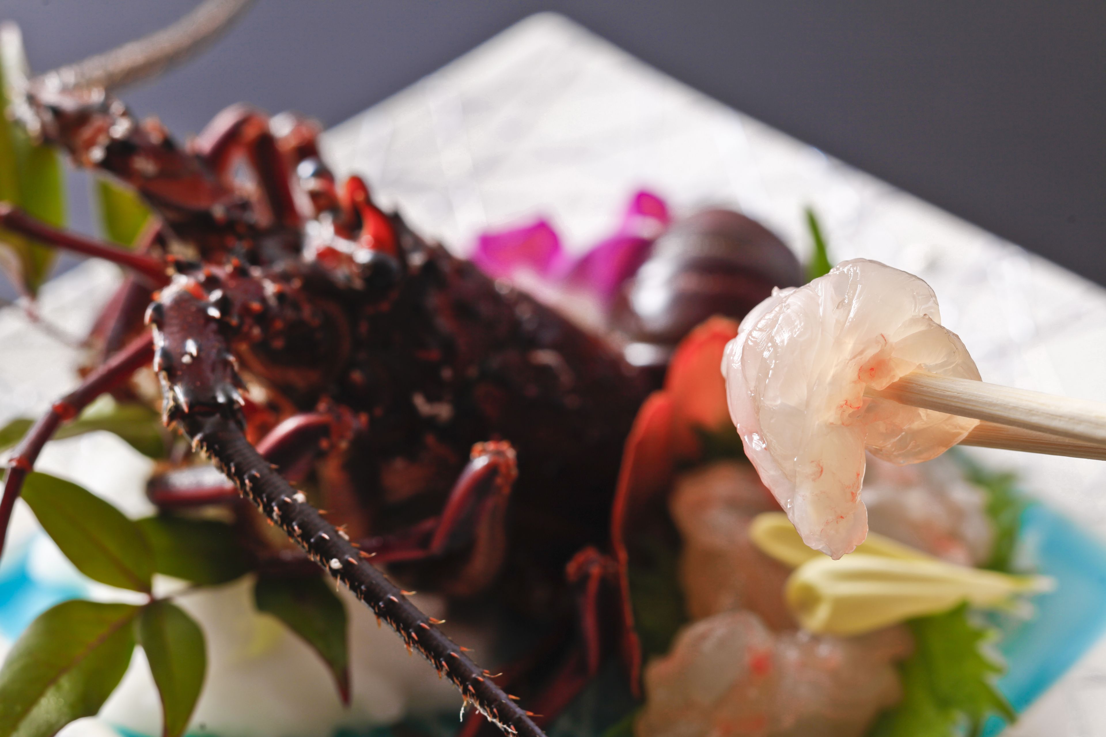 Primer plano de un plato de mariscos con un langostino ensartado, rodeado de otros mariscos y guarniciones.