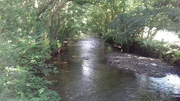 A narrow, natural waterway surrounded by dense foliage.