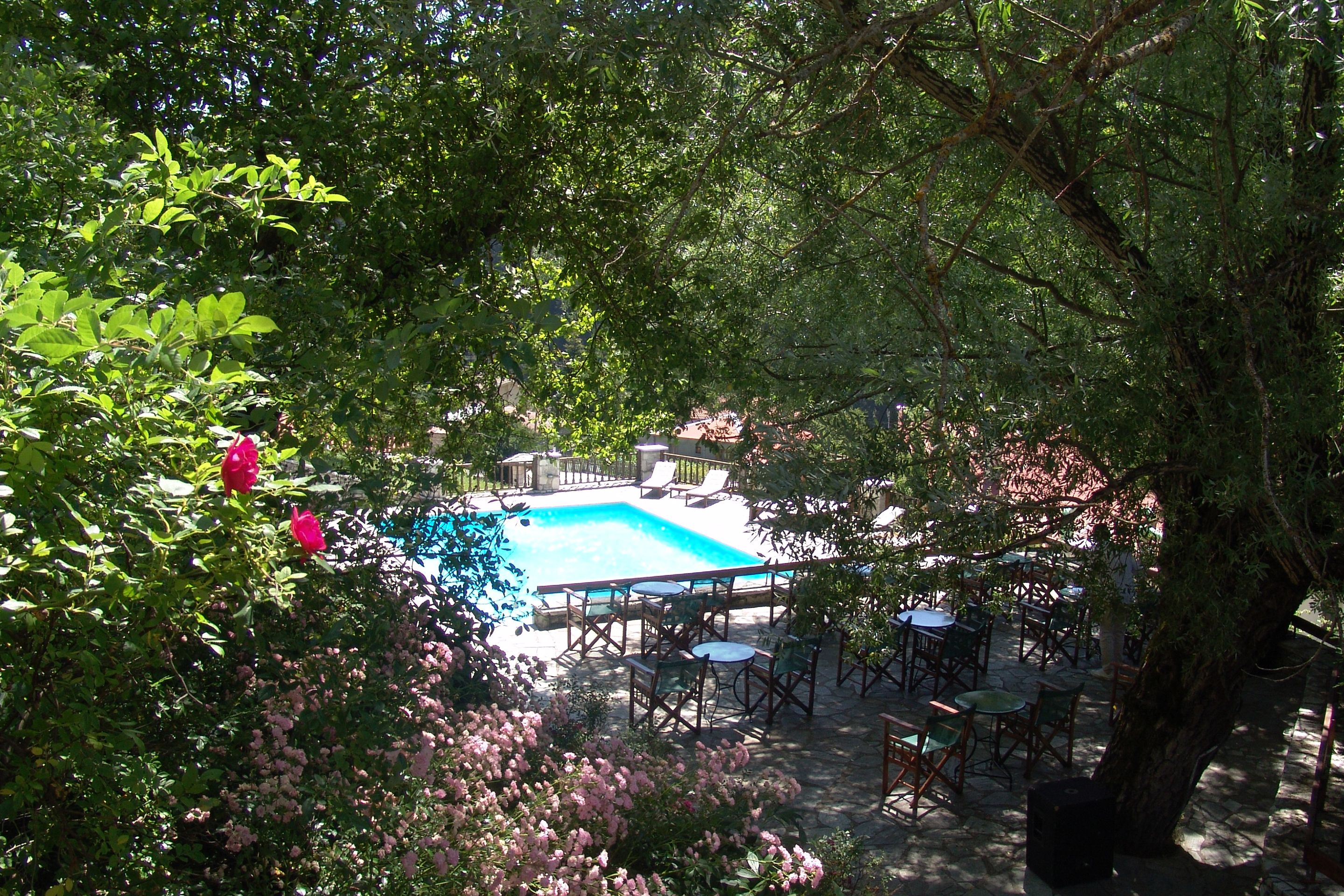 A swimming pool surrounded by outdoor furniture and lush greenery.