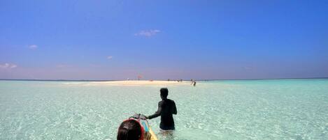 A clear view of a beach with a person paddling a canoe.