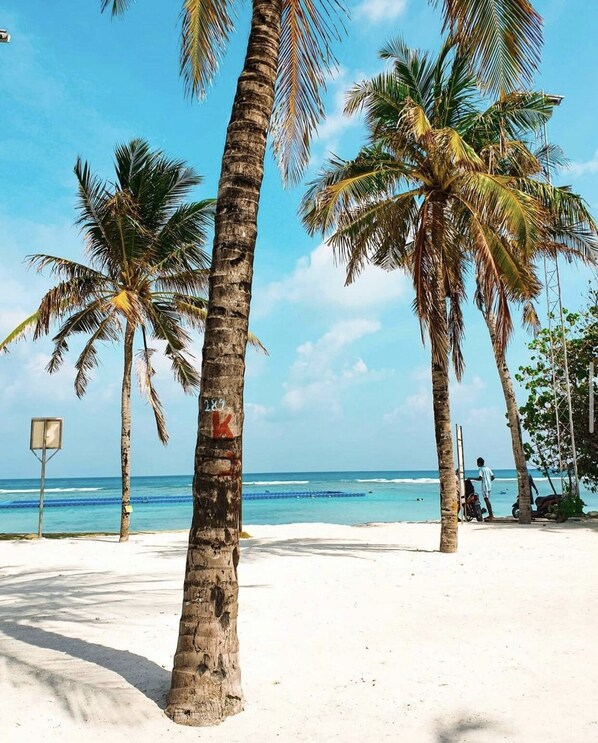 Playa en los alrededores, buceo, snorkel y ski acuático 