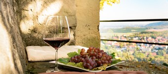 Berghotel Wilhelmsburg