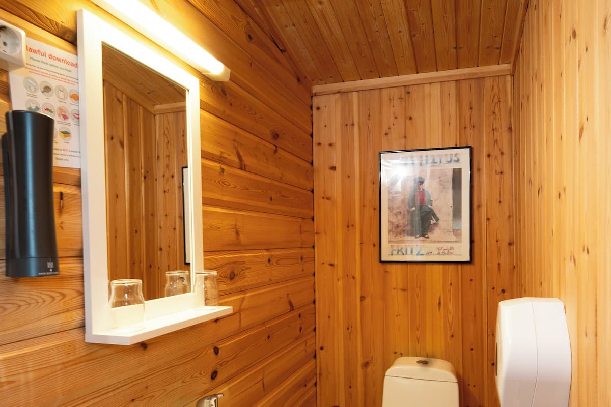 economy cabin | bathroom | shower, free toiletries, hair dryer, bathrobes