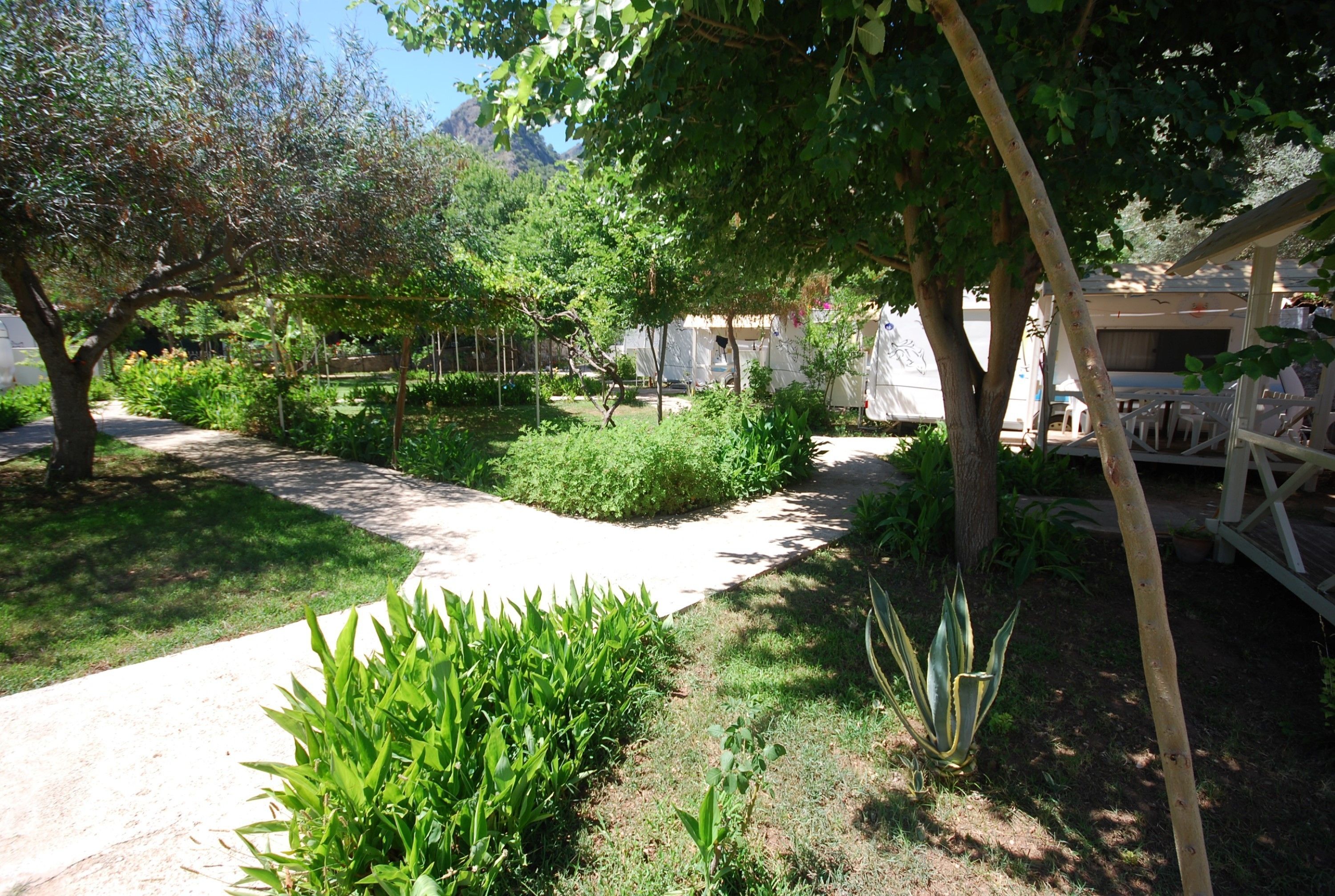 Photo - S3 Seahorse Beach Club