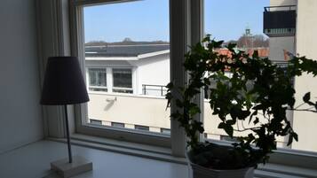 Single Room | View from room