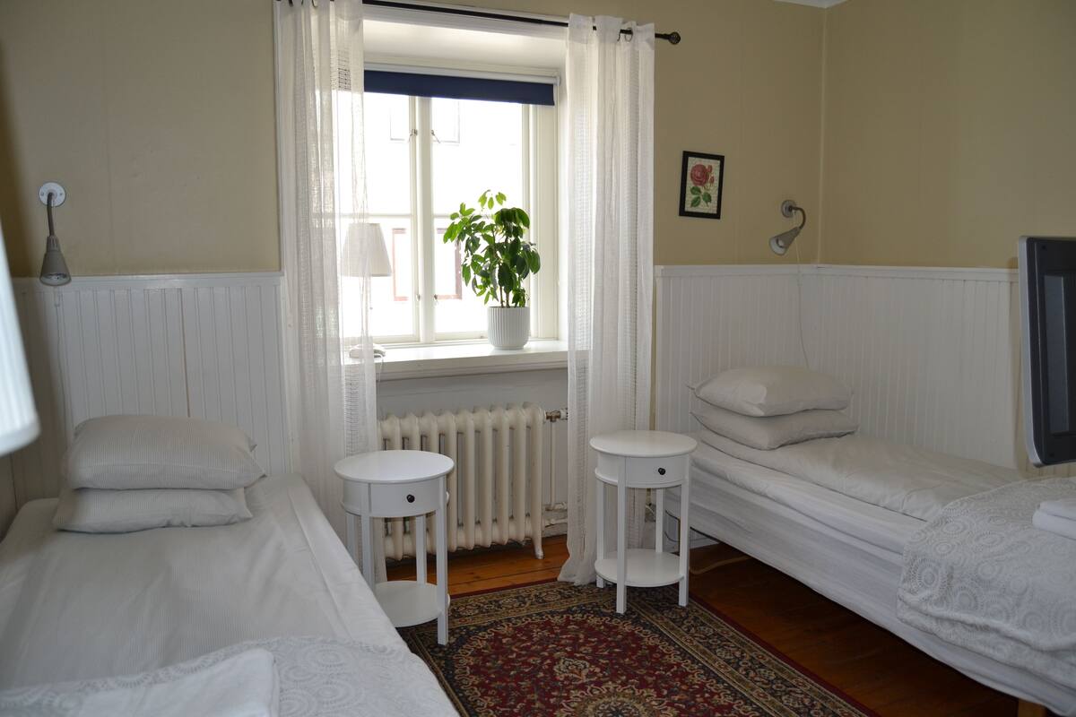 A bedroom with two single beds, a bedside table with a lamp, a potted plant, a radiator, and a window with curtains.