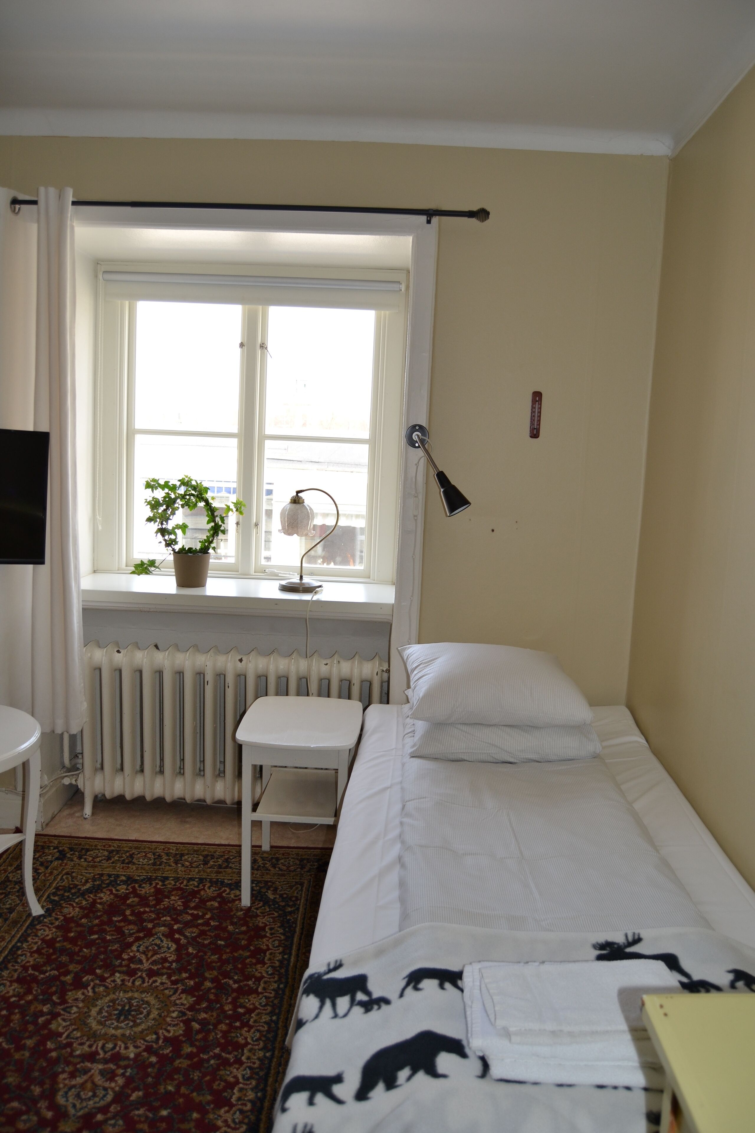 A bedroom with a single bed, a window with curtains, a radiator, a small table, a potted plant, and a lamp.