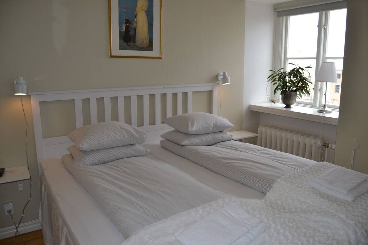 A double bed with white bedding and a headboard, a bedside table with a lamp, a radiator, and a window with a plant on the sill.