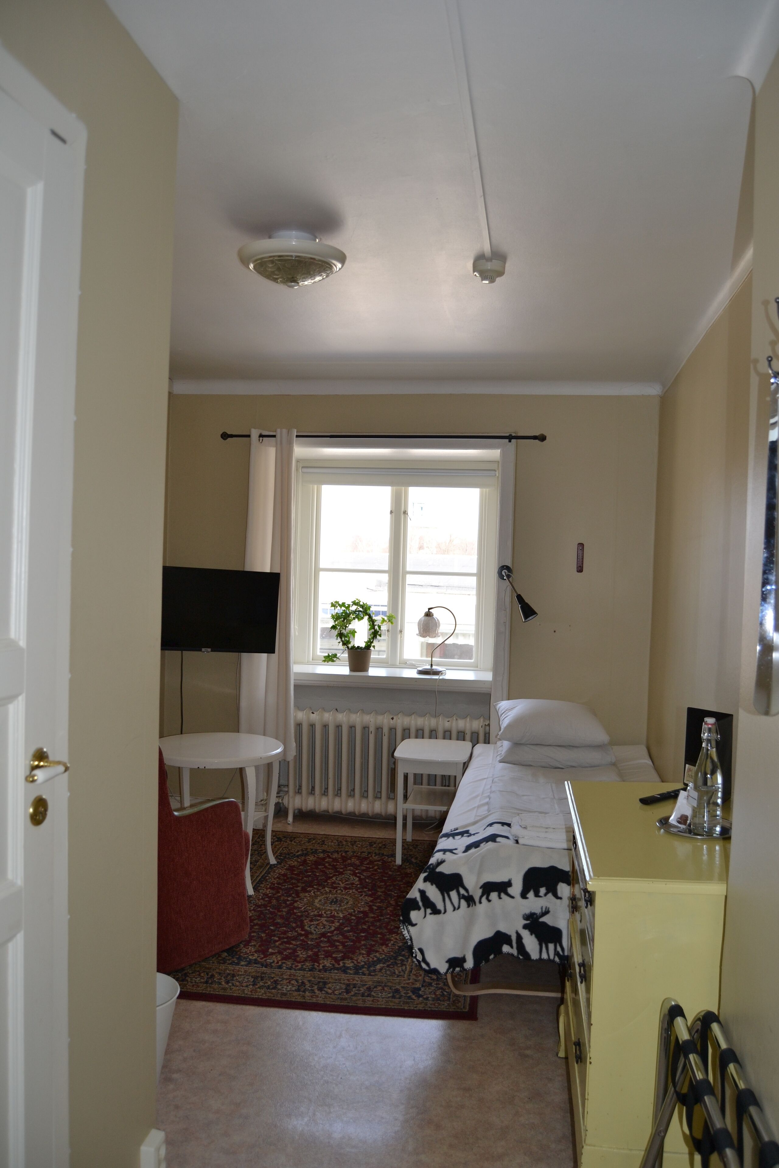 Ett litet hotellrum med en säng, ett litet bord, en stol, ett element, ett fönster med gardiner, en tv som är monterad på väggen och en växt på fönsterbrädan.